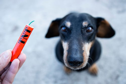 Avoid Exposure to Fireworks