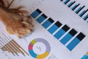 Evaluating the Success of Your Pet-Care Marketing Strategy