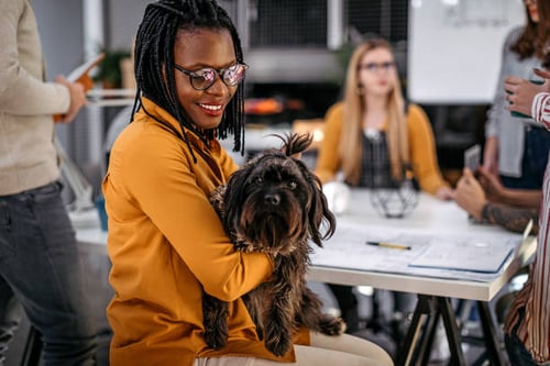 Pet-Friendly Workplaces