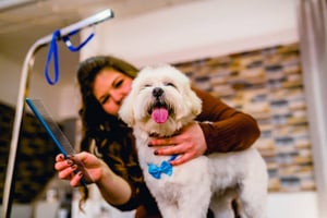 4 Gingr Features to Streamline Your Pet Grooming Business