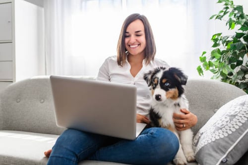 Why Gingr is a Must-Have for Pet-Care Businesses