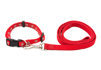 Remind your customers of your brand during their morning walk by designing leashes and collars for your next pet business merchandise idea.