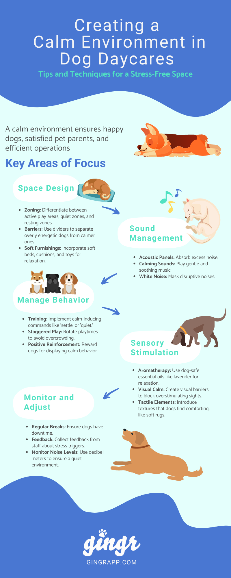 Calm Environment Infographic