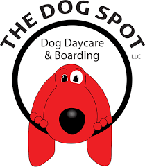 The Dog Spot relies on Gingr’s dog daycare software.